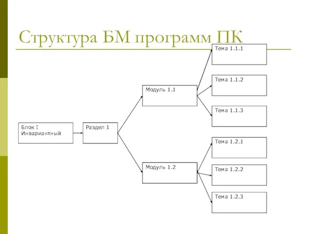 Структура БМ программ ПК