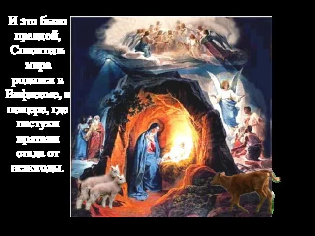 И это было правдой, Спаситель мира родился в Вифлееме, в пещере, где