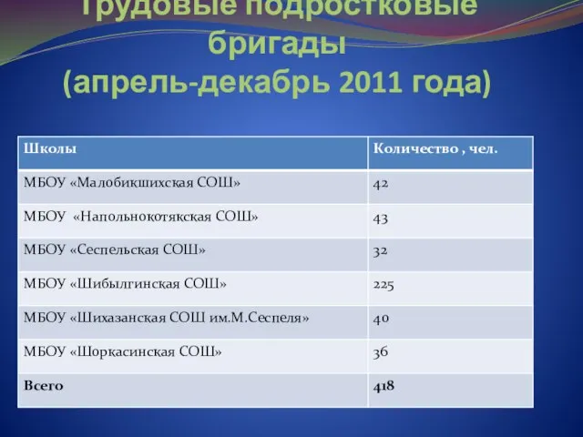 Трудовые подростковые бригады (апрель-декабрь 2011 года)