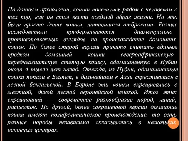 По данным археологии, кошки поселились рядом с человеком с тех пор, как