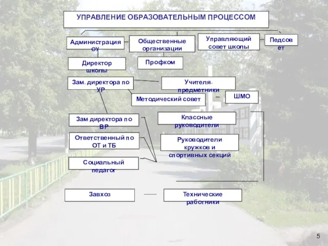 УПРАВЛЕНИЕ ОБРАЗОВАТЕЛЬНЫМ ПРОЦЕССОМ Администрация ОУ Общественные организации Управляющий совет школы Педсовет Директор