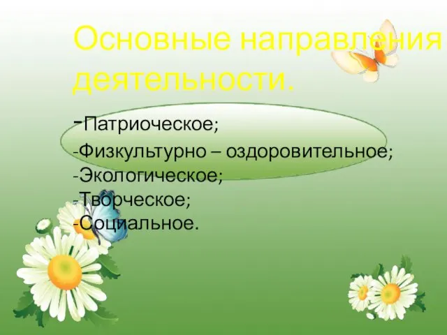 Основные направления деятельности. -Патриоческое; -Физкультурно – оздоровительное; -Экологическое; -Творческое; -Социальное.