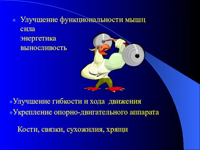 Улучшение функциональности мышц сила энергетика выносливость Улучшение гибкости и хода движения Укрепление