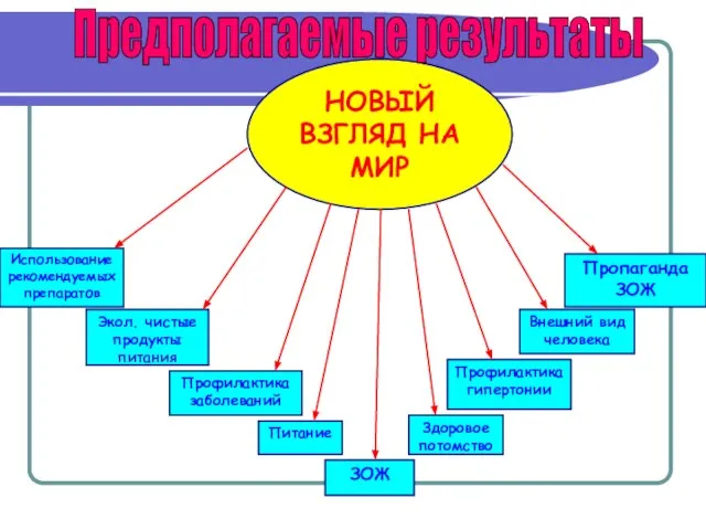 НОВЫЙ ВЗГЛЯД НА МИР ЗОЖ Питание Профилактика заболеваний Экол. чистые продукты питания