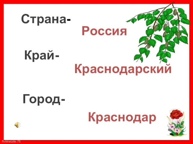 Страна- Россия Край- Краснодарский Город- Краснодар