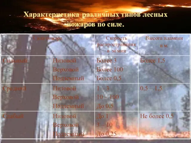 Характеристика различных типов лесных пожаров по силе.