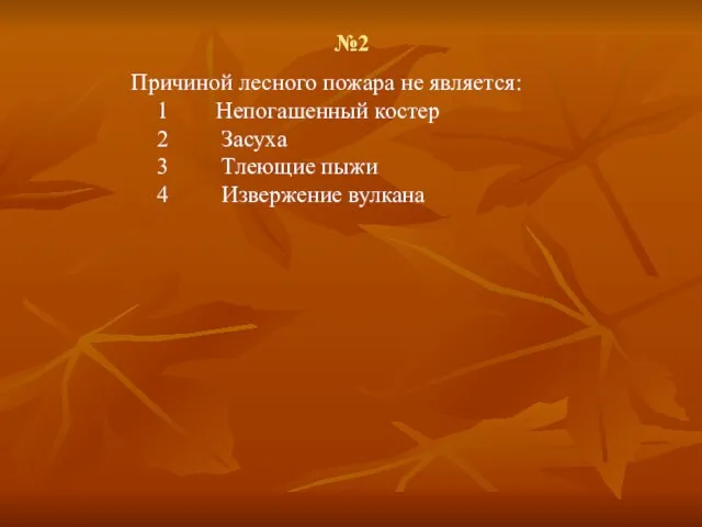 №2 Причиной лесного пожара не является: 1 Непогашенный костер 2 Засуха 3