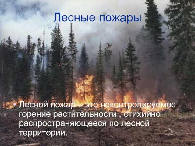 Лесные пожары Лесной пожар – это неконтролируемое горение растительности , стихийно распространяющееся по лесной территории.