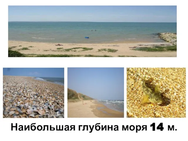 Наибольшая глубина моря 14 м.