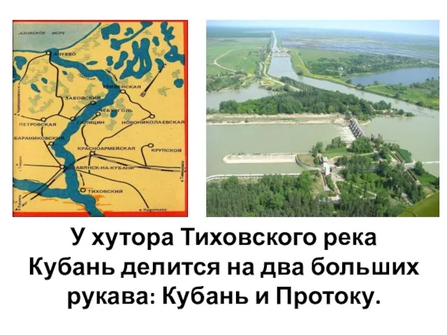 У хутора Тиховского река Кубань делится на два больших рукава: Кубань и Протоку.