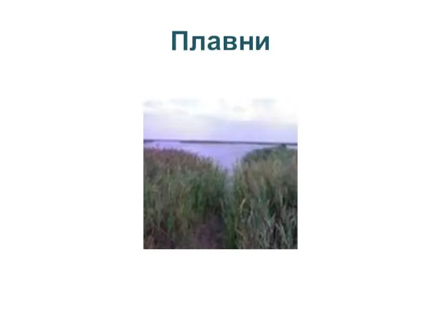 Плавни