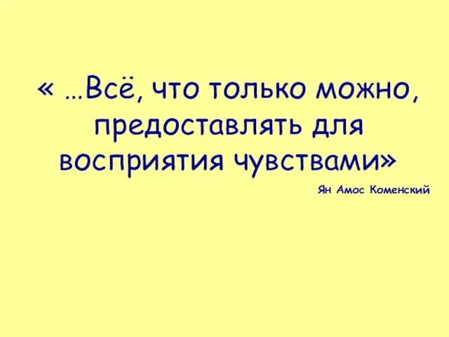 « …Всё, что только можно, предоставлять для восприятия чувствами» Ян Амос Коменский