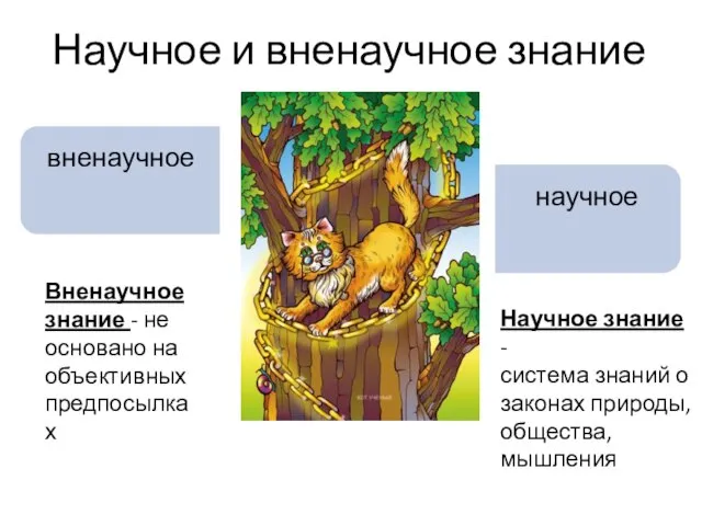 Научное и вненаучное знание Научное знание - система знаний о законах природы,