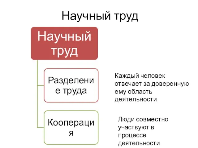 Каждый человек отвечает за доверенную ему область деятельности Люди совместно участвуют в процессе деятельности Научный труд