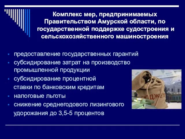 Комплекс мер, предпринимаемых Правительством Амурской области, по государственной поддержке судостроения и сельскохозяйственного