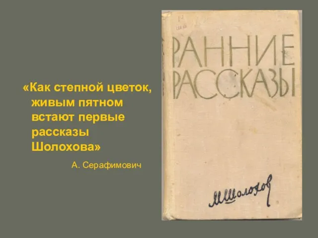 «Как степной цветок, живым пятном встают первые рассказы Шолохова» А. Серафимович