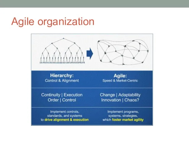 Agile organization