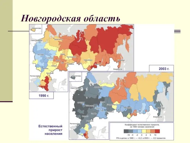 С.В.Васильев 2006 Новгородская область