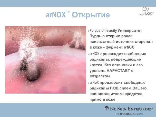 arNOX™ Открытие Purdue University Университет Пурдью открыл ранее неизвестный источник старения в