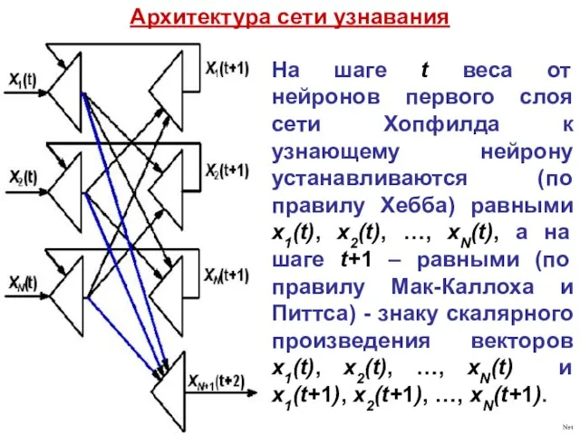 Архитектура сети узнавания На шаге t веса от нейронов первого слоя сети