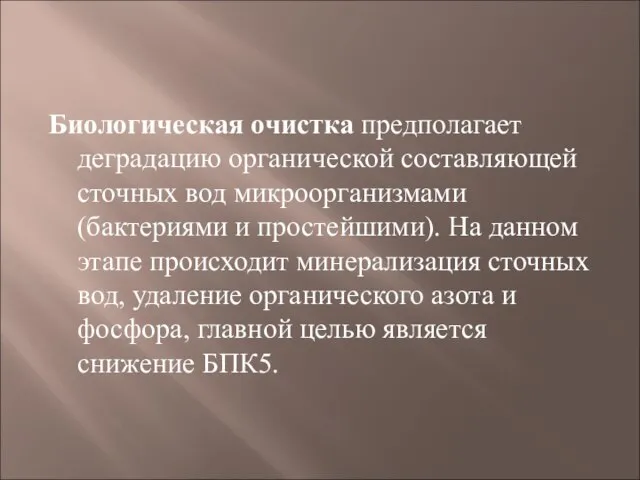 Биологическая очистка предполагает деградацию органической составляющей сточных вод микроорганизмами (бактериями и простейшими).