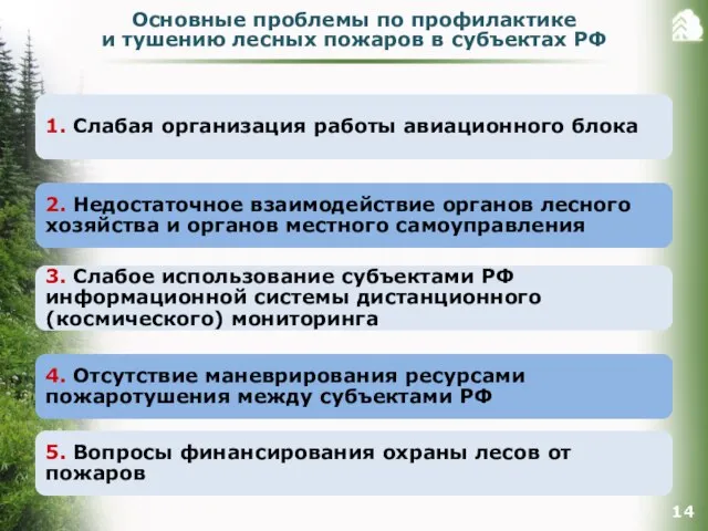 Основные проблемы по профилактике и тушению лесных пожаров в субъектах РФ 1.