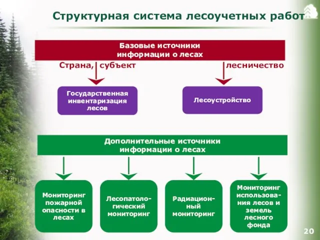 Структурная система лесоучетных работ Базовые источники информации о лесах Дополнительные источники информации