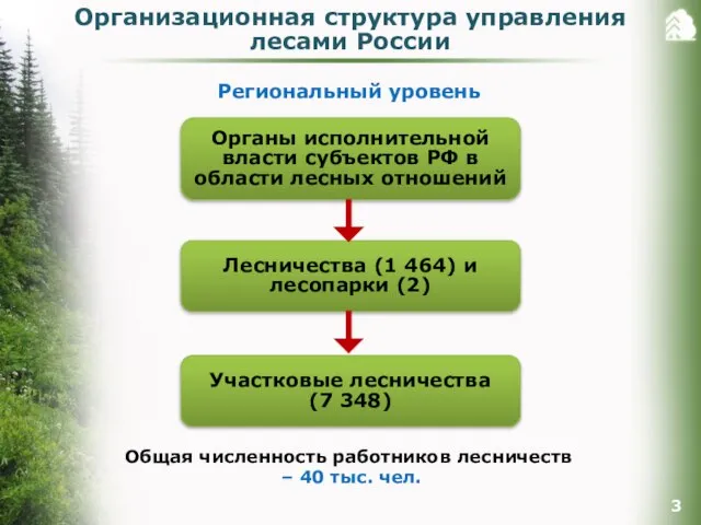 Региональный уровень Органы исполнительной власти субъектов РФ в области лесных отношений Лесничества