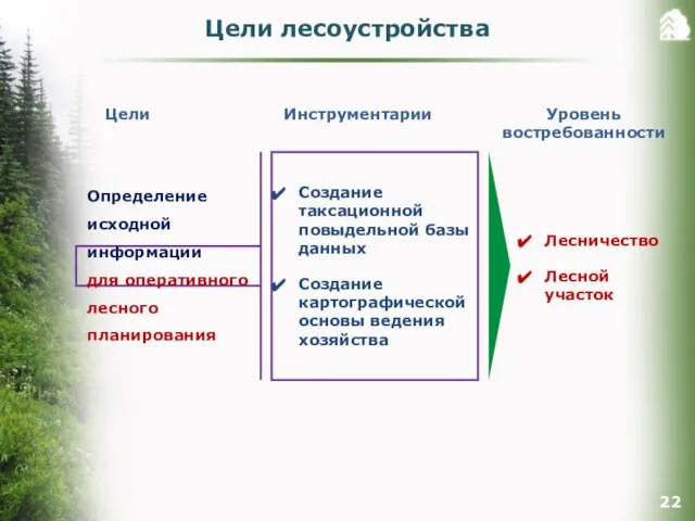 Определение исходной информации для оперативного лесного планирования Цели Инструментарии Уровень востребованности Создание