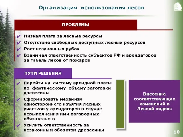 Организация использования лесов ПРОБЛЕМЫ Низкая плата за лесные ресурсы Отсутствие свободных доступных