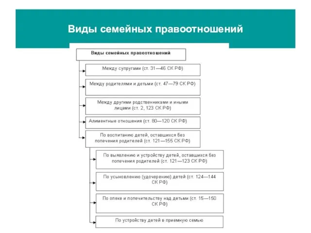 Виды семейных правоотношений