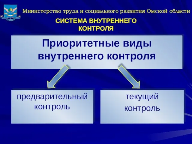 Министерство труда и социального развития Омской области СИСТЕМА ВНУТРЕННЕГО КОНТРОЛЯ Приоритетные виды