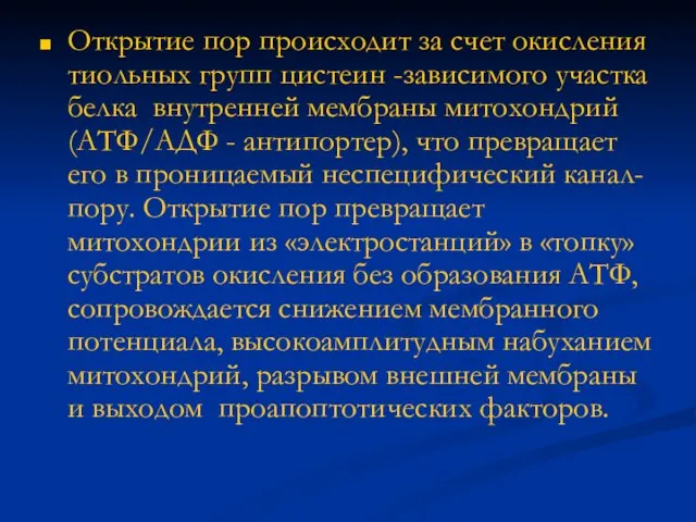 Открытие пор происходит за счет окисления тиольных групп цистеин -зависимого участка белка