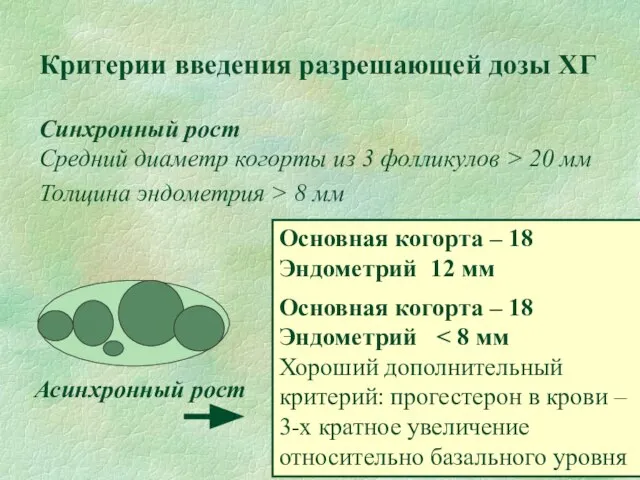 Критерии введения разрешающей дозы ХГ Синхронный рост Средний диаметр когорты из 3