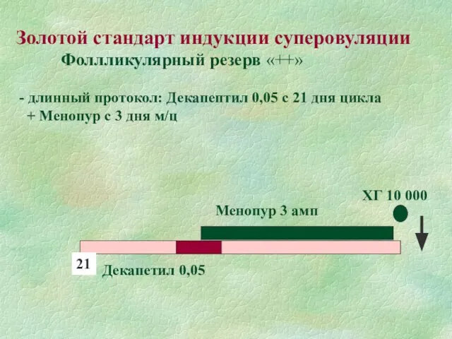 Золотой стандарт индукции суперовуляции Фоллликулярный резерв «++» - длинный протокол: Декапептил 0,05