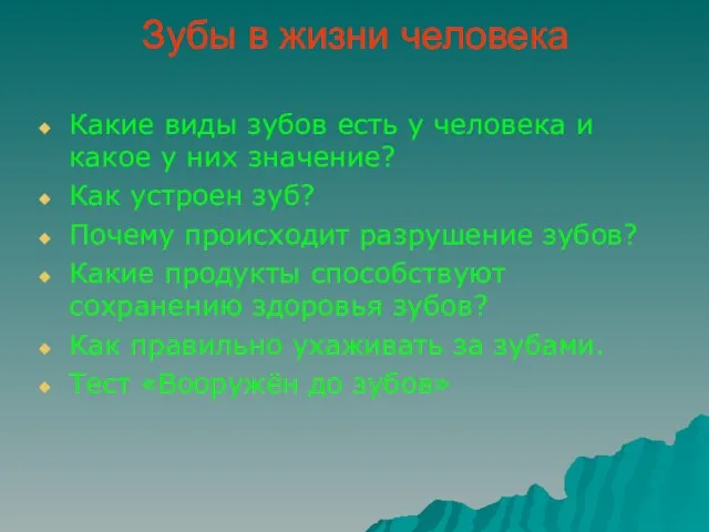 Зубы в жизни человека Какие виды зубов есть у человека и какое