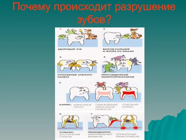 Почему происходит разрушение зубов?