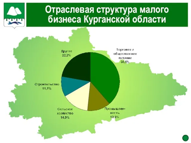 Отраслевая структура малого бизнеса Курганской области