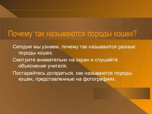 Почему так называются породы кошек? Сегодня мы узнаем, почему так называются разные