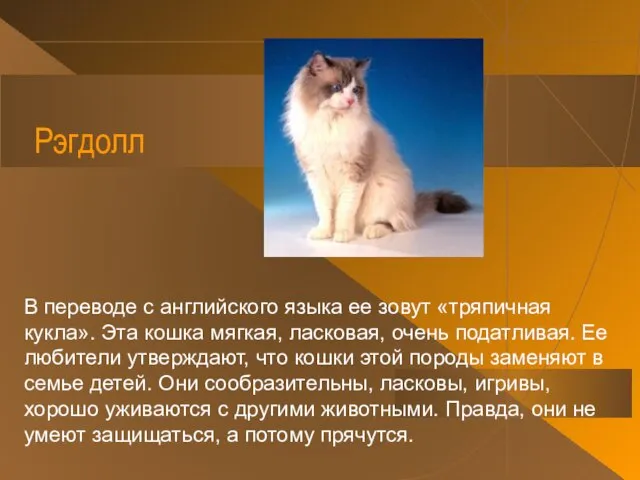 Рэгдолл В переводе с английского языка ее зовут «тряпичная кукла». Эта кошка