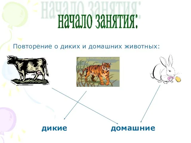 начало занятия: Повторение о диких и домашних животных: дикие домашние