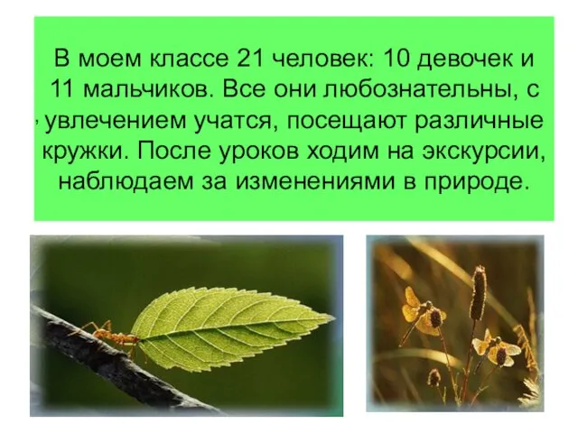 В моем классе 21 человек: 10 девочек и 11 мальчиков. Все они