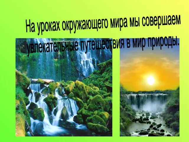 На уроках окружающего мира мы совершаем увлекательные путешествия в мир природы.