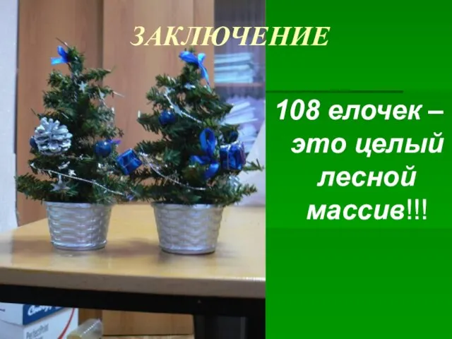 ЗАКЛЮЧЕНИЕ 108 елочек – это целый лесной массив!!!