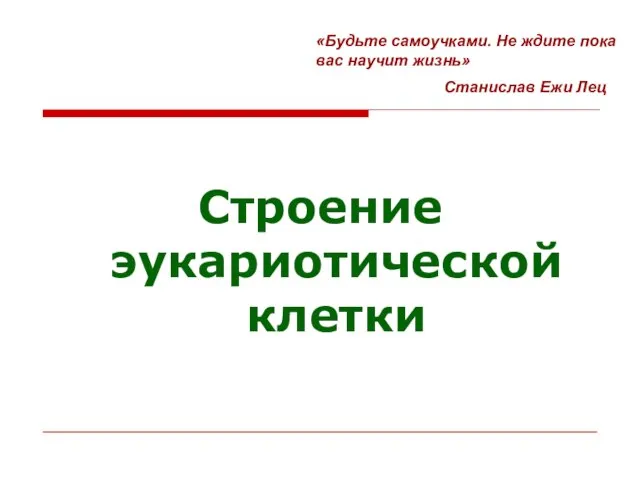 Строение эукариотической клетки «Будьте самоучками. Не ждите пока вас научит жизнь» Станислав Ежи Лец