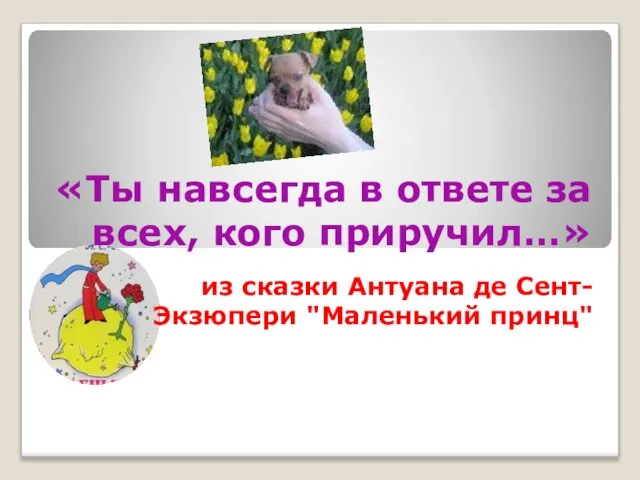 «Ты навсегда в ответе за всех, кого приручил…» из сказки Антуана де Сент-Экзюпери "Маленький принц"