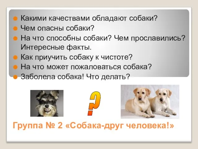Группа № 2 «Собака-друг человека!» Какими качествами обладают собаки? Чем опасны собаки?