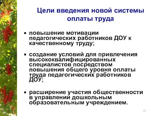 Цели введения новой системы оплаты труда повышение мотивации педагогических работников ДОУ к