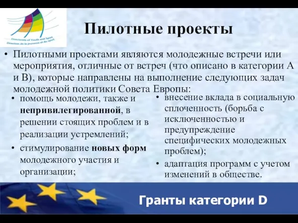 Гранты категории D Пилотные проекты Пилотными проектами являются молодежные встречи или мероприятия,