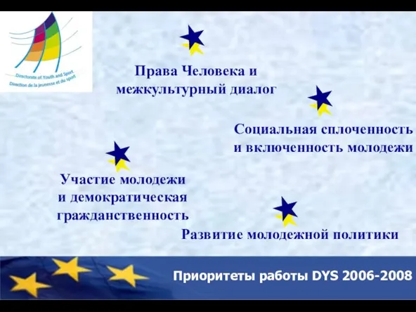 Приоритеты работы DYS 2006-2008